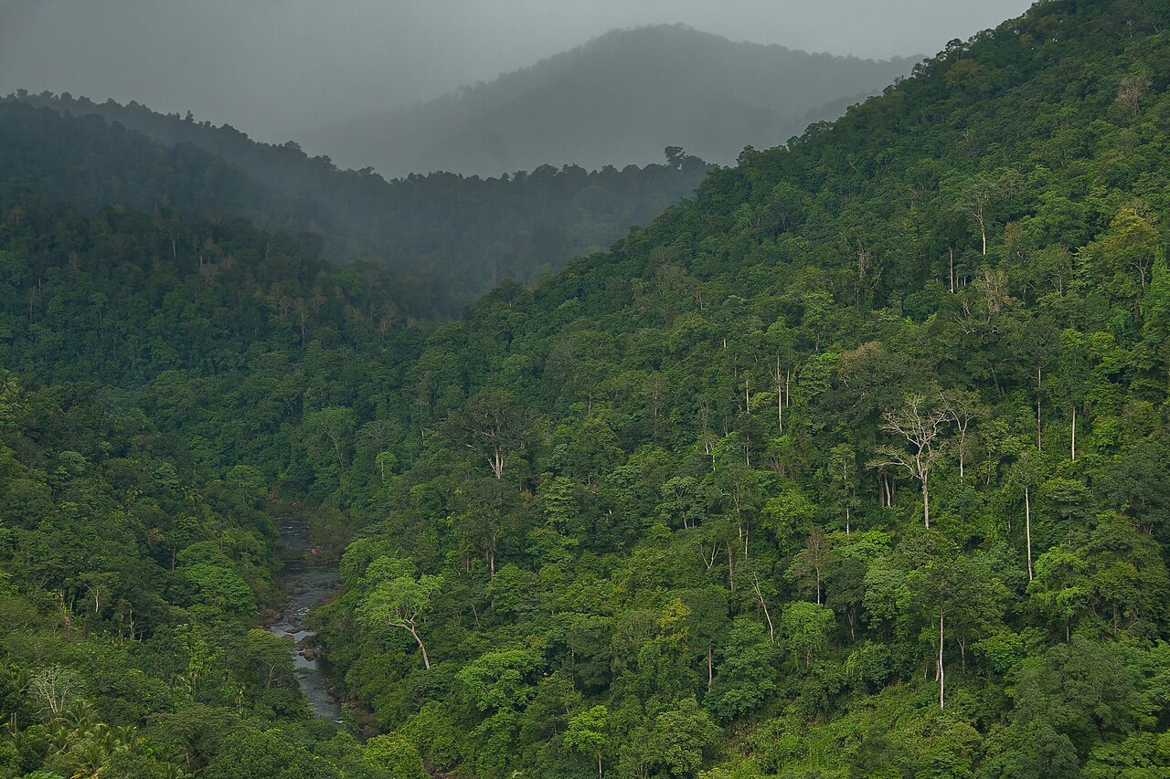 Periyar Lake Boat Safari
