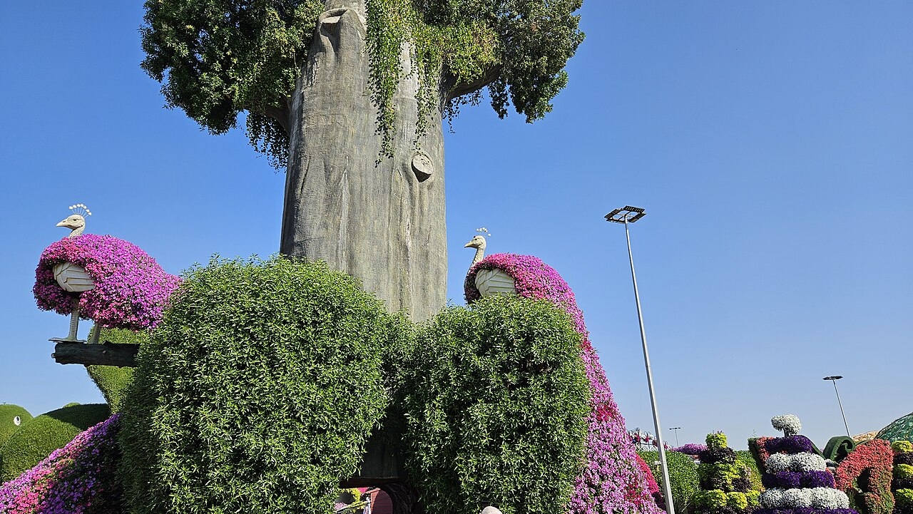 Dubai Miracle Garden