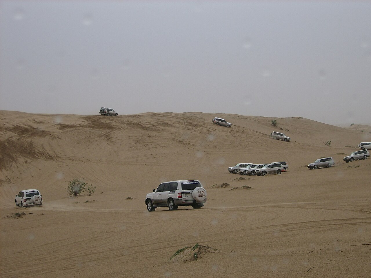 Desert Safari with BBQ Dinner