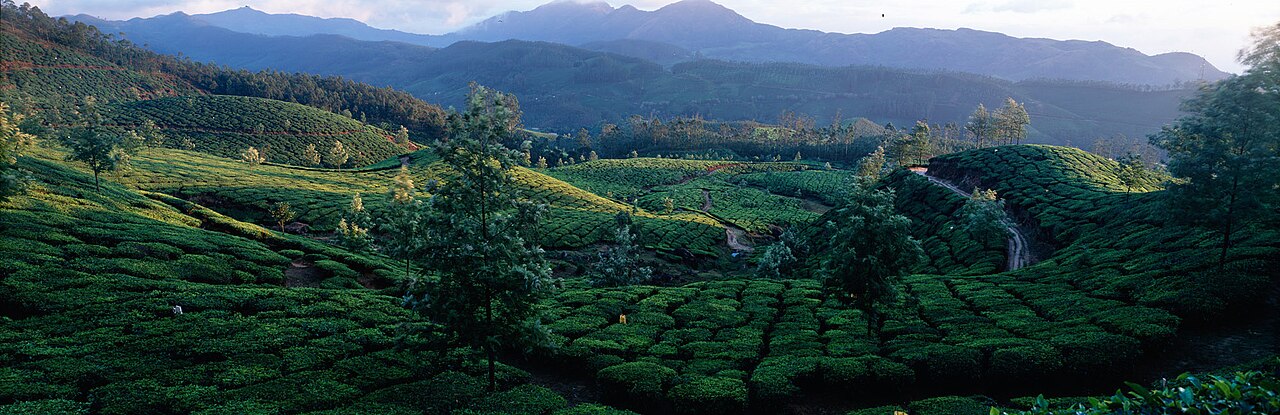 Kerala tour package from Delhi