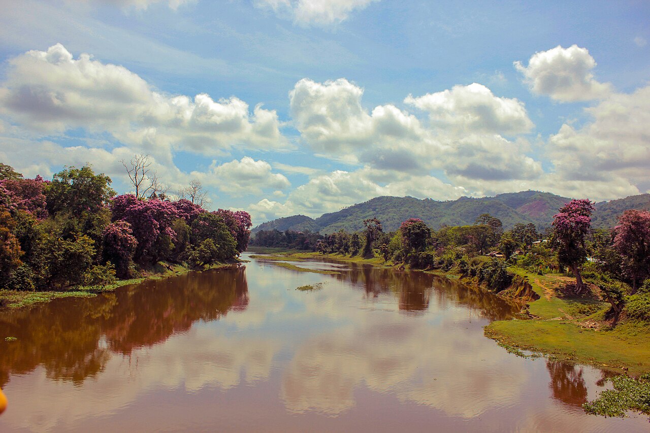 Kaziranga