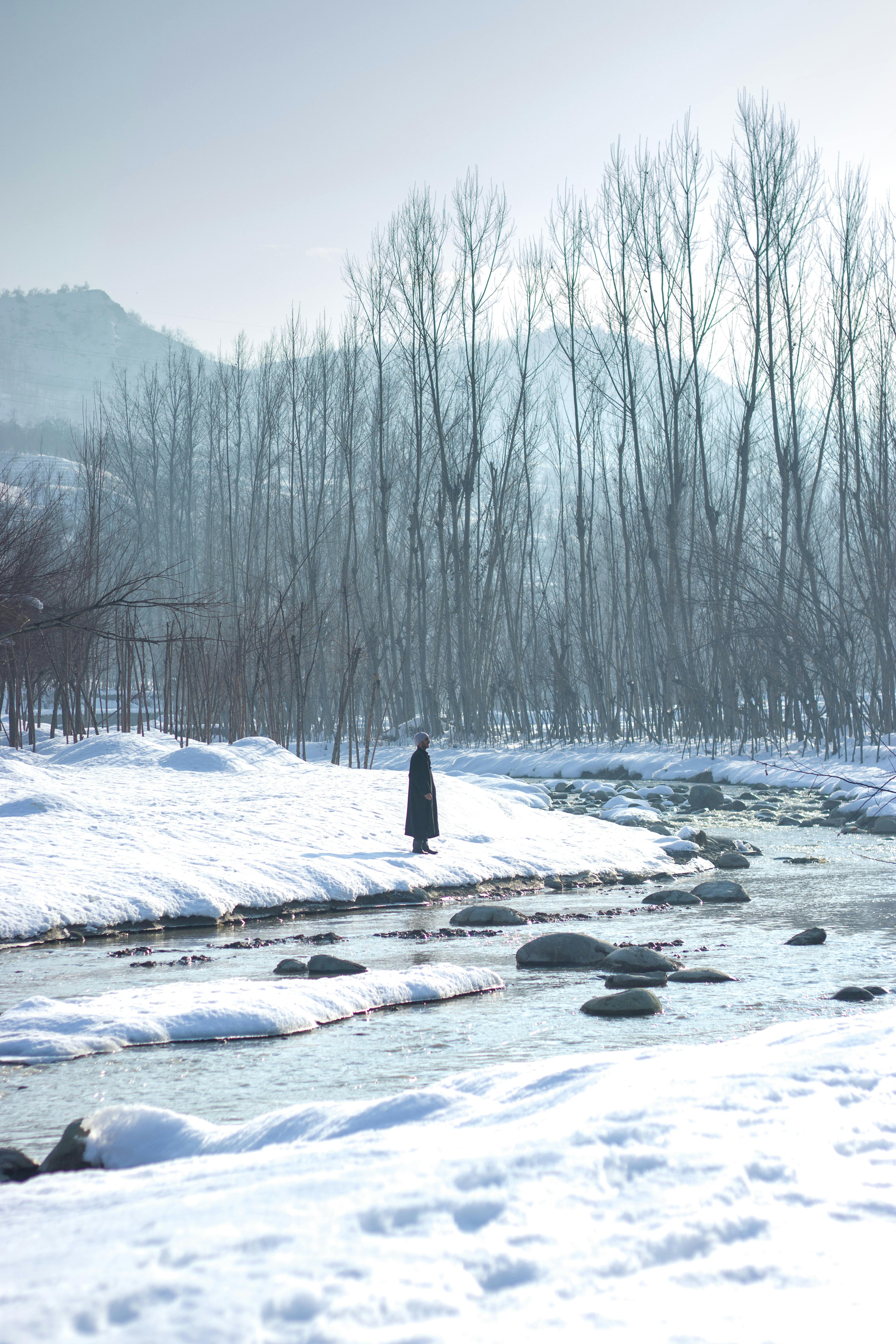 ARRIVE IN SRINAGAR