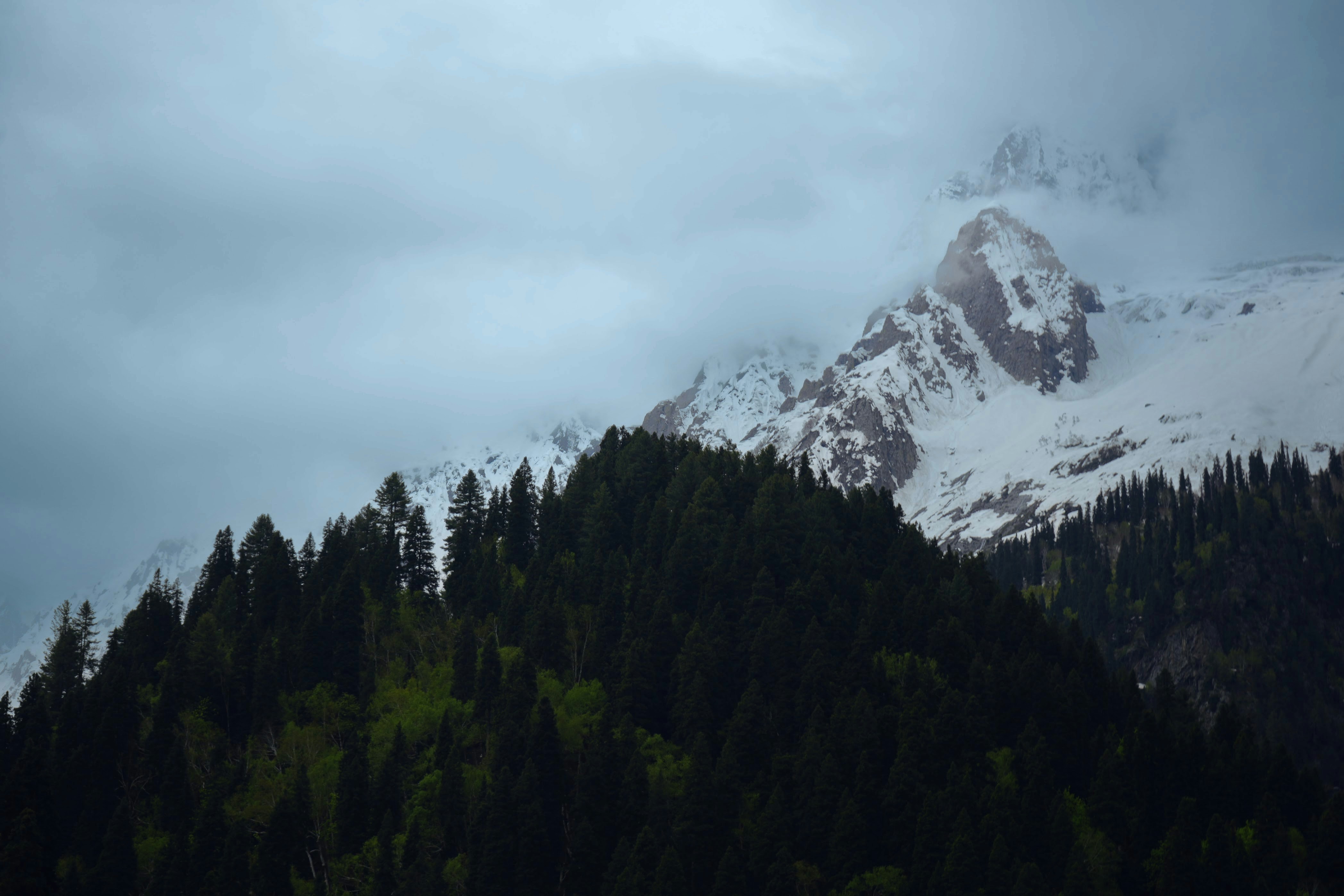Krazmatic Kashmir